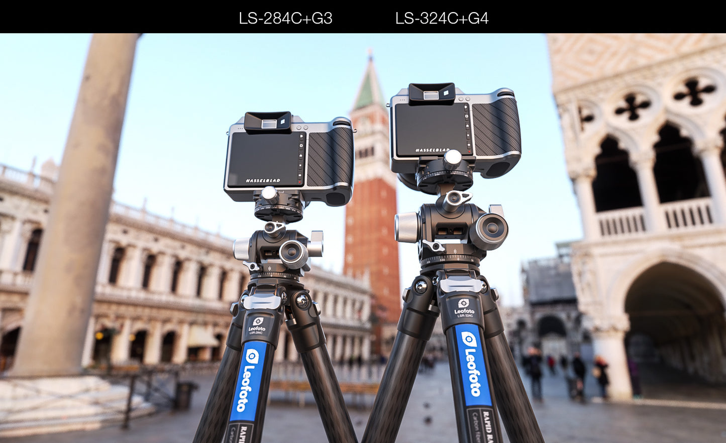 Leofoto G3 geared head