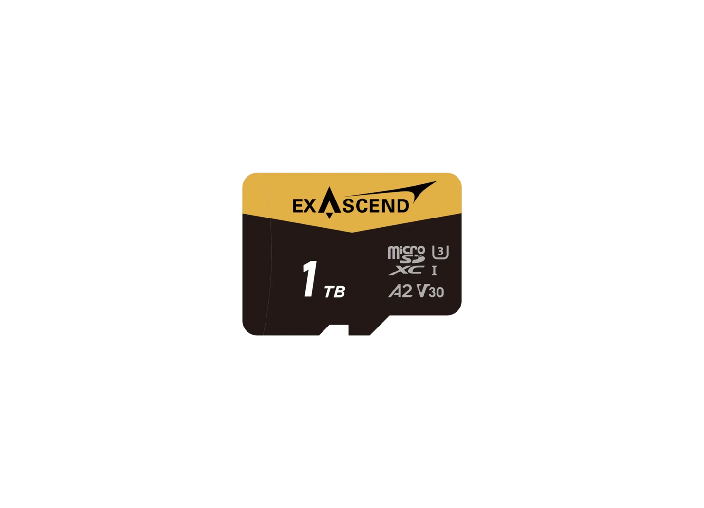 Exascend CATALYST microSD card with microSD to SD adapter UHS-1 (V30)