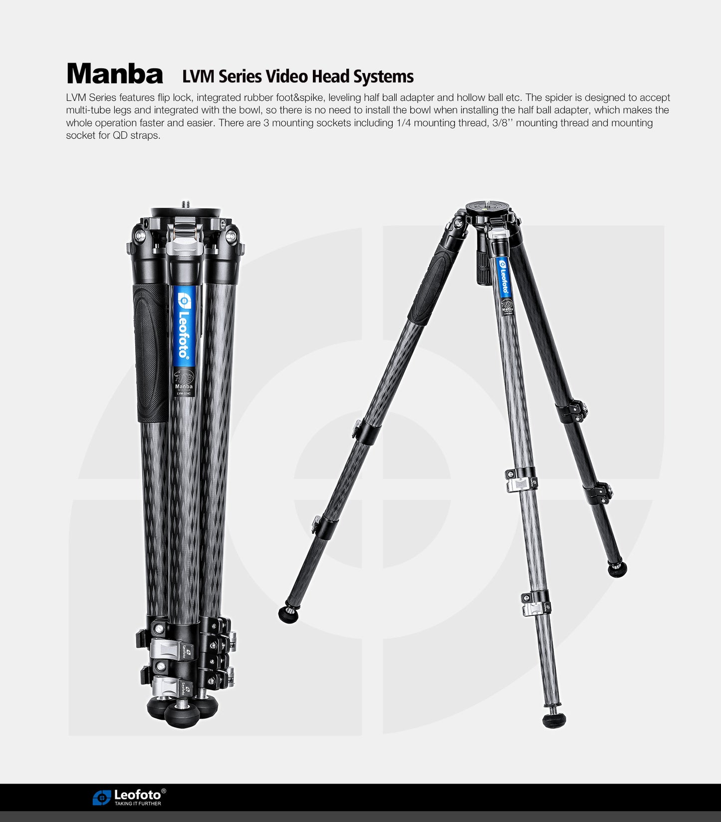 Leofoto Manba Tripod LVM-323C and BV-10/BV-15 Arca Swiss Fluid head