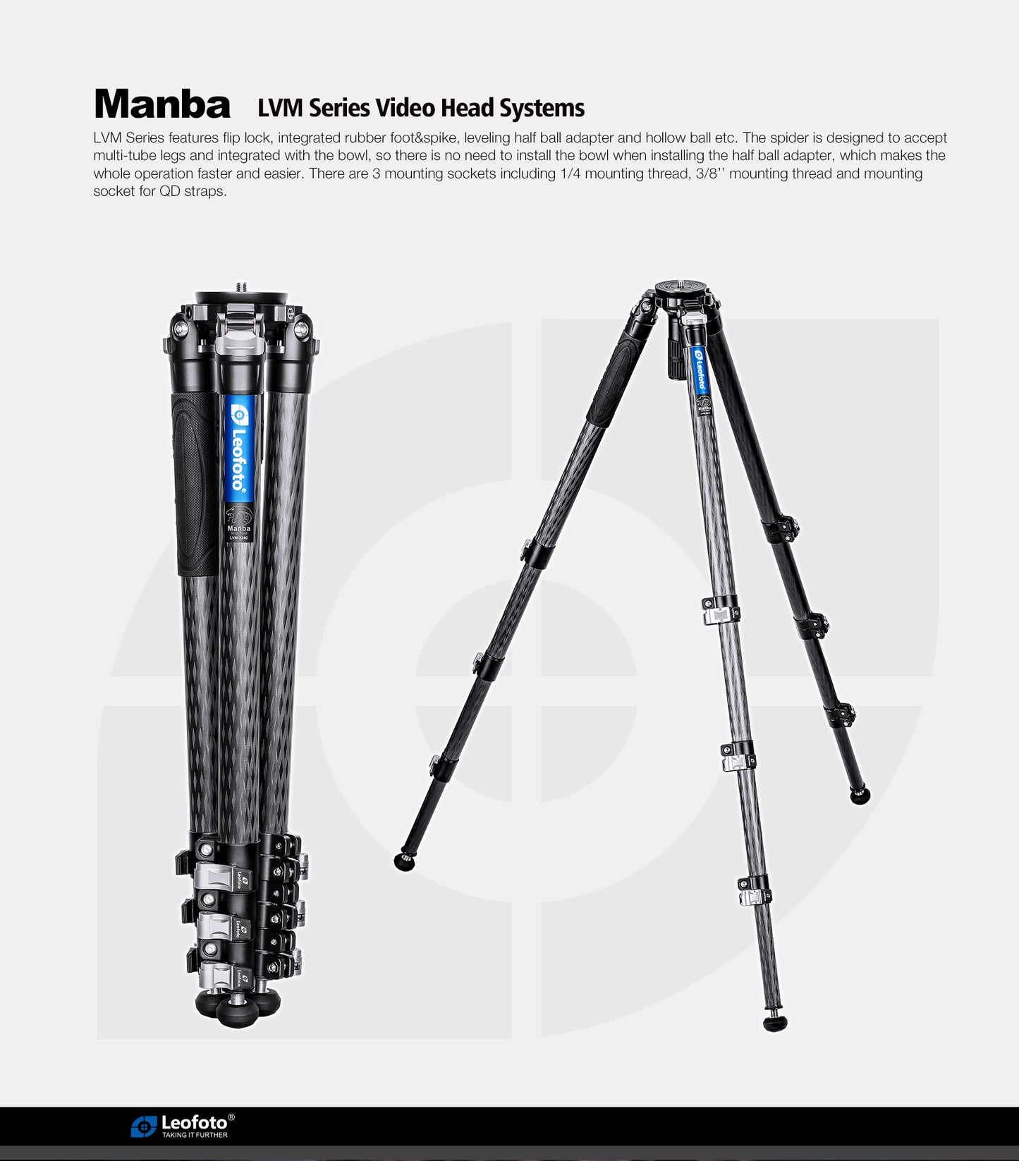 Leofoto Manba Tripod LVM-324C and BV-10/BV-15 Arca Swiss Fluid head
