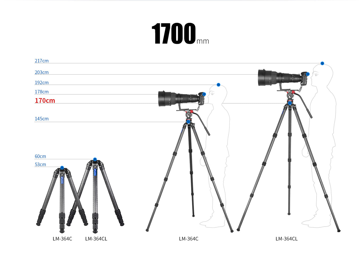 Leofoto LM-364CL Tripod