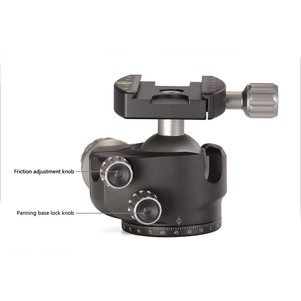 LH-40+PCL-60 - photosphere.sg