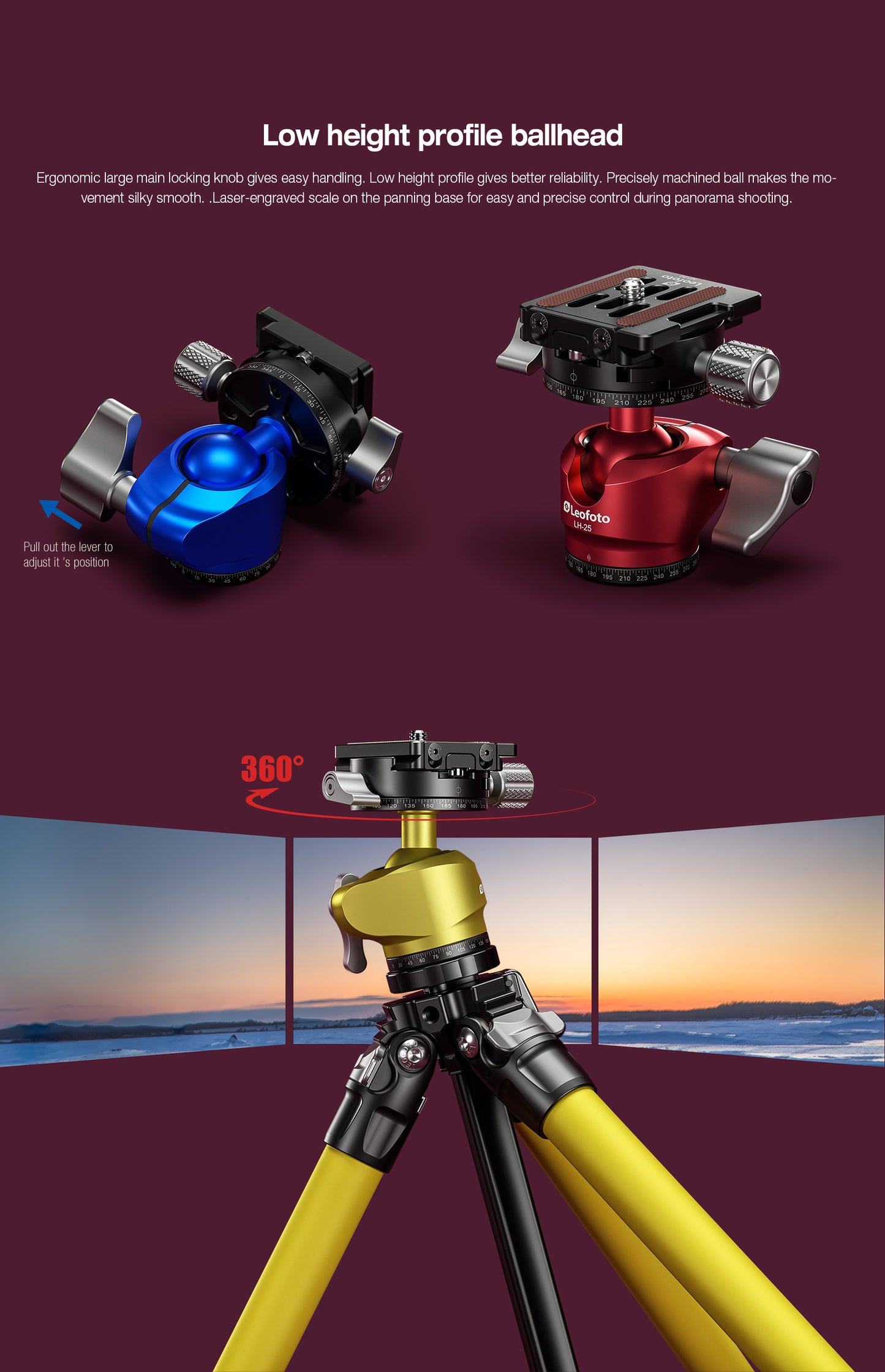 Leofoto "Mr Y" Tripod LY-224C + LH-25R