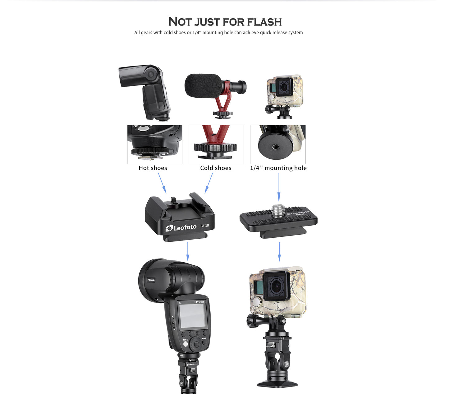 Leofoto FA-14 & FA-10 flash quick release system adapter - photosphere.sg