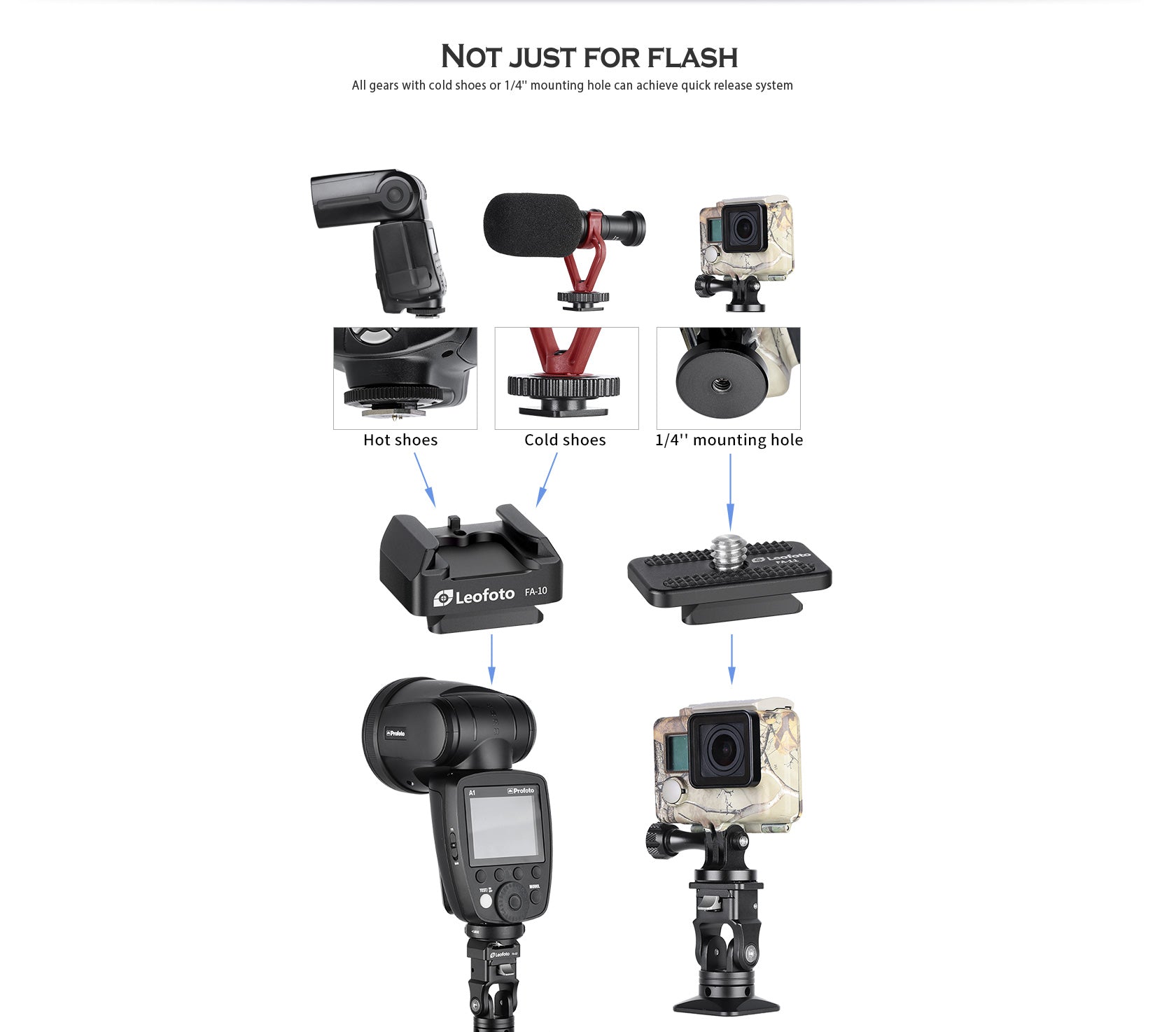 Leofoto FA-14 & FA-10 flash quick release system adapter - photosphere.sg