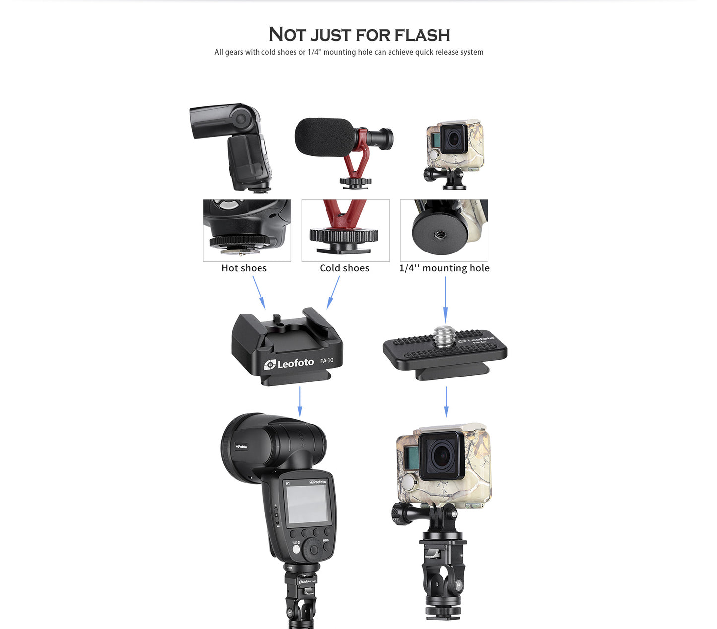 Leofoto FA-15 & FA-10 flash quick release system adapter - photosphere.sg