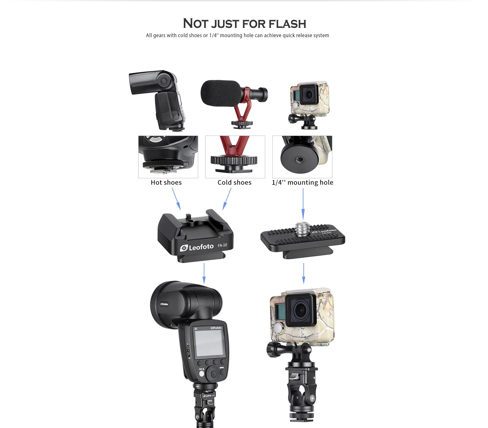 Leofoto FA-15 & FA-10 flash quick release system adapter - photosphere.sg