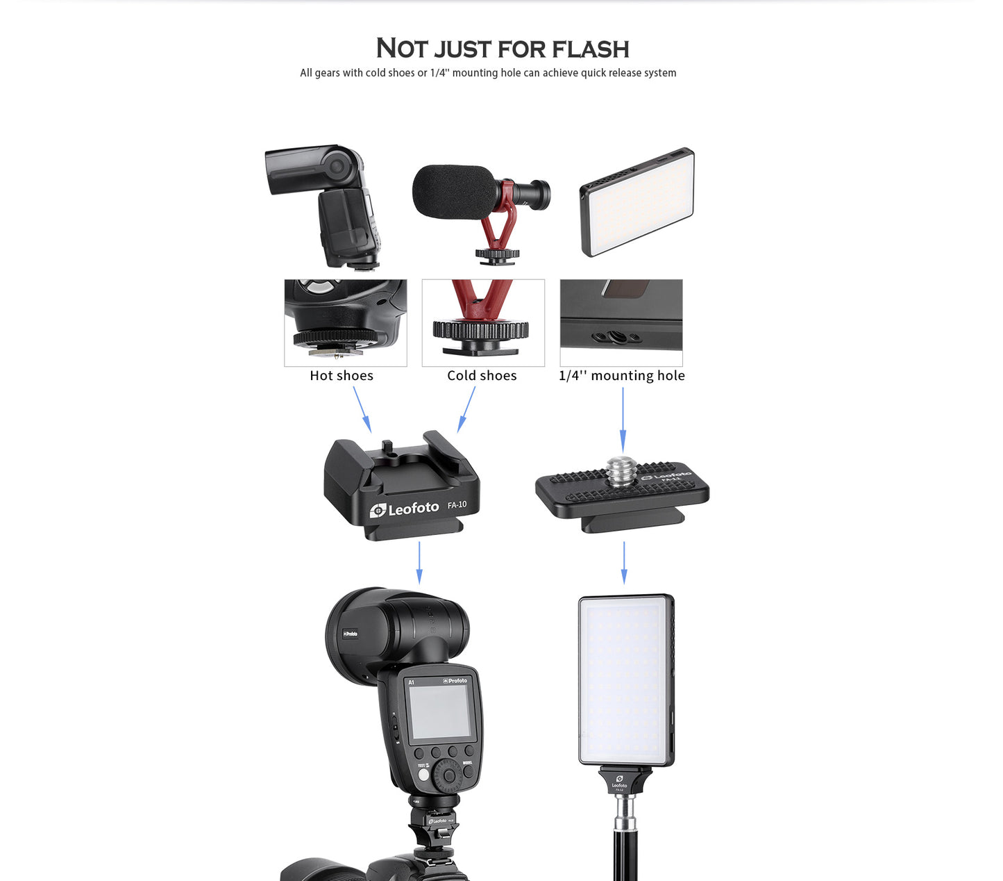 Leofoto FA-12+FA-10 and FA-13+FA-10 flash quick release system - photosphere.sg