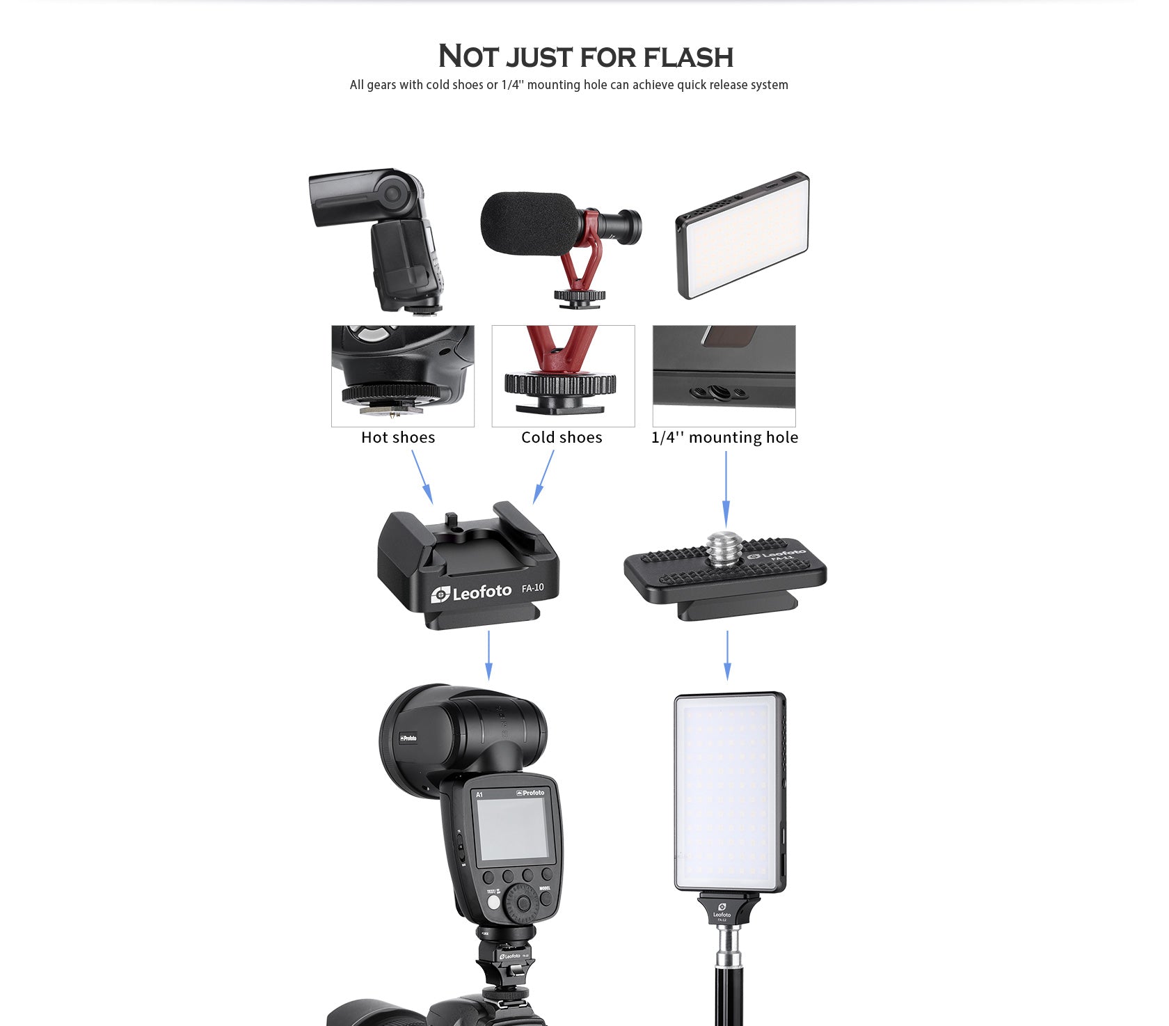 Leofoto FA-12+FA-10 and FA-13+FA-10 flash quick release system - photosphere.sg