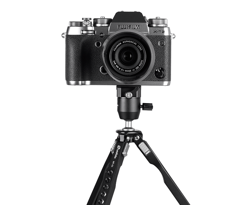 Leofoto MTB-19 ballhead - photosphere.sg