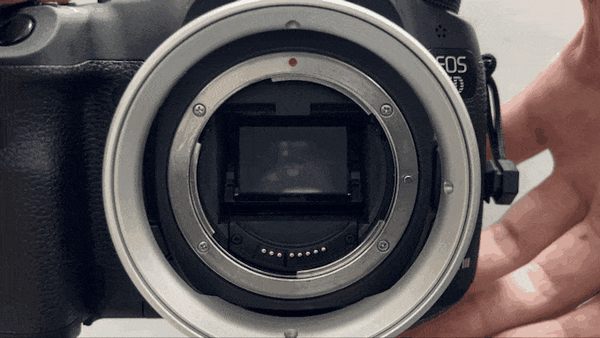 Atoll D (Other cameras)