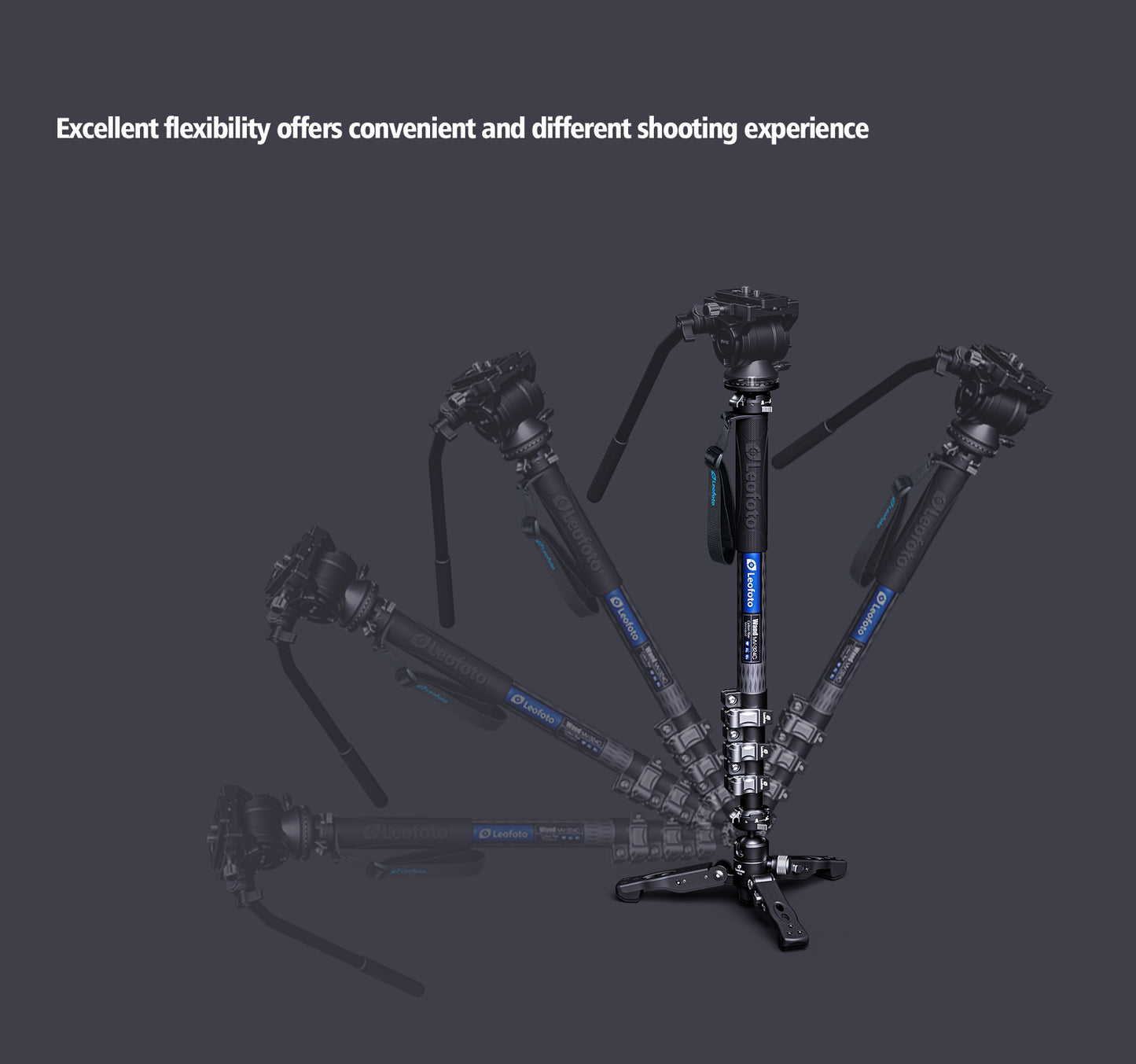 Leofoto Manba Monopod MV-324CL and BV-10
