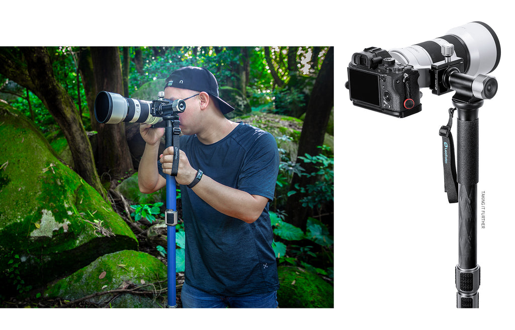 Leofoto MPG1 MonoGimbal Head photosphere.sg