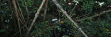 Leofoto Tripod LS-365CEX Full Camouflage + PG-1 Half Camouflaged Gimbal head