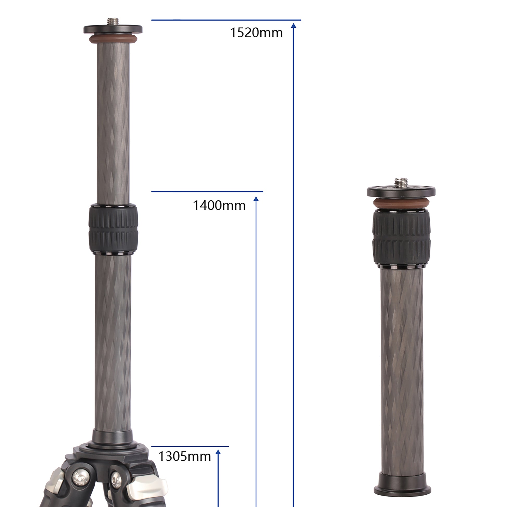 Leofoto Tripod LS-284CEX+BV-10 - photosphere.sg